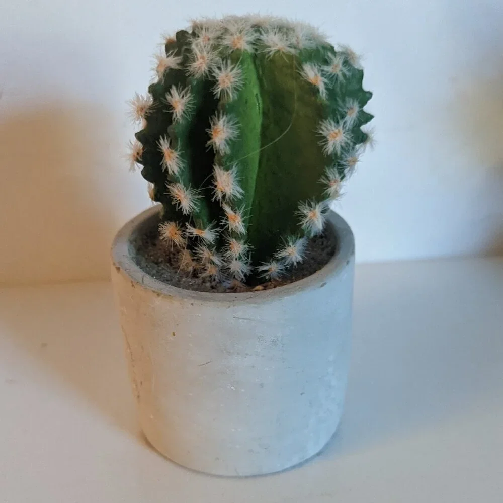 NWT Ashland Faux Cactus Rustic Clay Pot Floral Succulent Summer Desert Michael's
